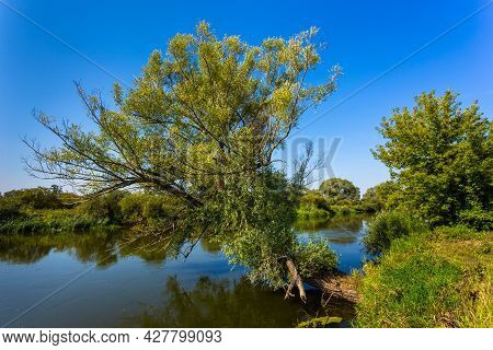 Summer Day Over Warta River In Warta Landscape Park, Poland.