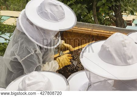 Beekeeper In A Protective Suit Pulls Out A Frame With Bees And Honey From A Bee Hive And Shows It To