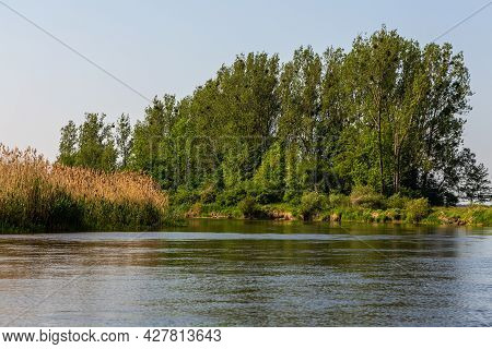 Summer Day Over Warta River In Warta Landscape Park, Poland.