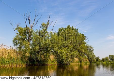 Summer Day Over Warta River In Warta Landscape Park, Poland.