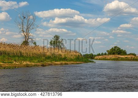 Summer Day Over Warta River In Warta Landscape Park, Poland.