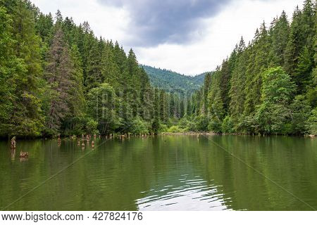 View From The Beautiful Lacu Rosu In Romanian, Gyilkosto In Hungarian , Red Lake In English In Trans