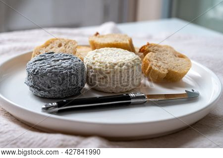 Cheese Collection, French Goat Cheese Crottin Served With French Bread