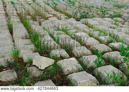 Area Covered With Flexible Concrete Mat To Prevent Erosion, Laid On The Ground, With Ferns Growing T