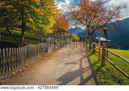 Autumn Countryside Scenery With Colorful Deciduous Trees. Narrow Rural Road Covered With Colorful Le