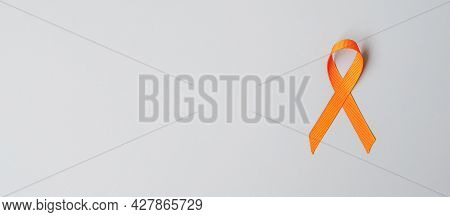 Leukemia, Kidney Cancer Day, World Multiple Sclerosis, Crps, Self Injury Awareness Month, Orange Rib