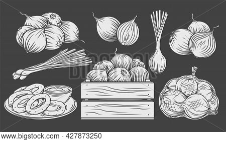Onion Monochrome Glyph Icon Set, White On Black. Pile Of Onion Bulbs, Packed In Net Bag, In Wooden C