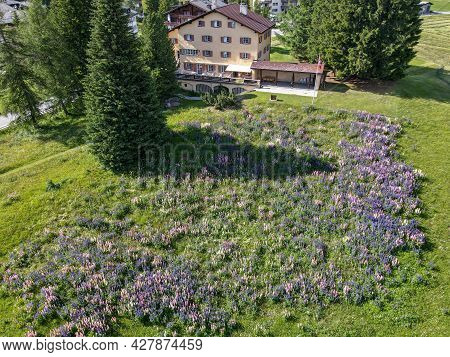 Flower Garden In Front Of A House At Valbella On The Swiss Alps