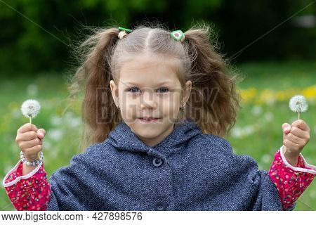 Portrat Of Caucasian Girl Of Five Years Old Holding Dandelions In Two Hands In The Summer Park
