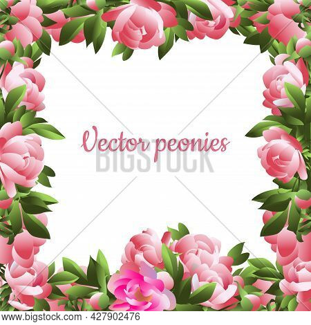 Vector Image Of A Holiday Frame Made Of Pink Peonies.