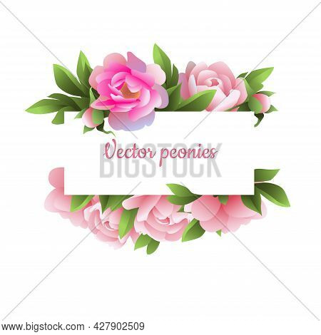 Vector Image Of A Holiday Frame Made Of Pink Peonies.