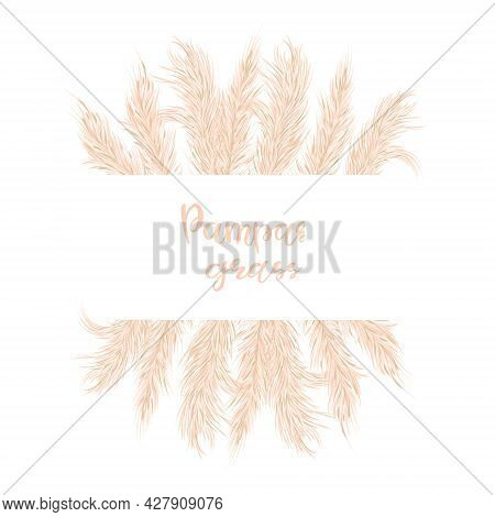 Background Border Dry Pampas Grass For Invitations, Postcards. Selloana. Hand-drawn Illustration.