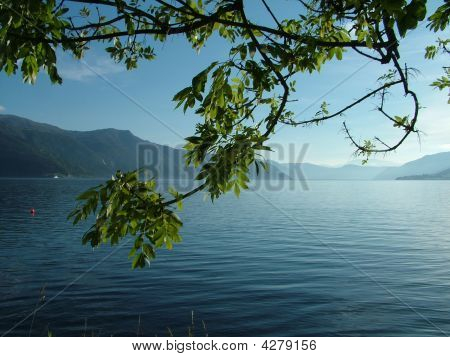 Sogne Fjord