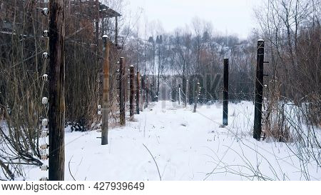 Kamieniolom Liban. Fence Posts And Remnants Of Barbed Wire. Grove Of Trees On Both Sides Of The Snow