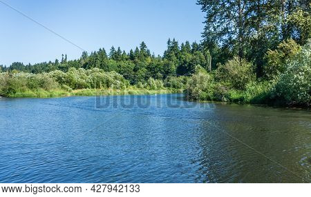 A Landscape Shot Of The Sammamish River In Washiington State.