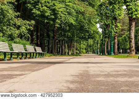 Alley In The Forest Park, Riga (mežaparks) At Summer. Low Angle Photo Of Footpath In The Park Lined 