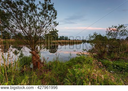 Sunset Over Warta River In Warta Landscape Park, Lad, Poland.