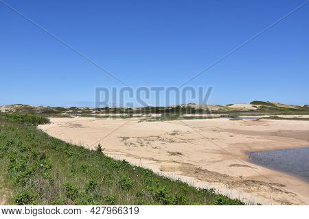 Tidal Marsh And Sand Beach Along Cape Cod.