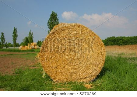 Bale Of Straw