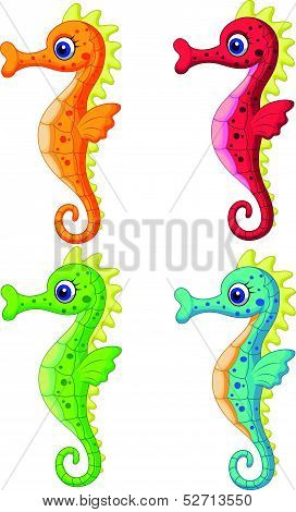 Sea horse cartoon