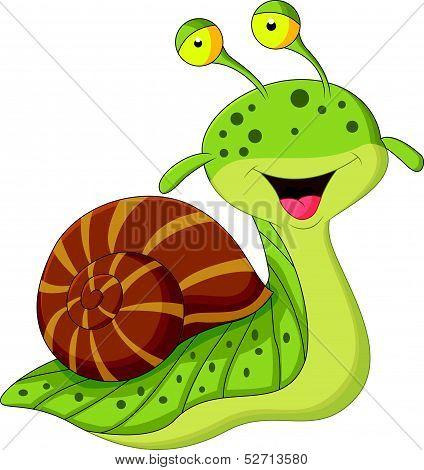 Cute snail cartoon