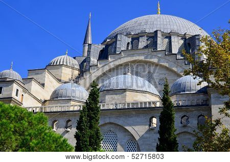 The Suleiman Mosque