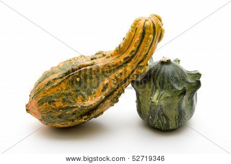 Pumpkin
