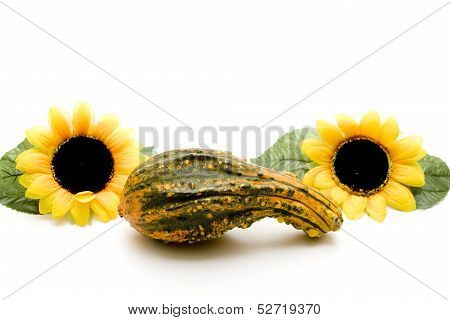 Pumpkin with sunflower