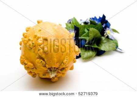Pumpkin with roses