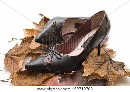 Black ladies shoe with foliage