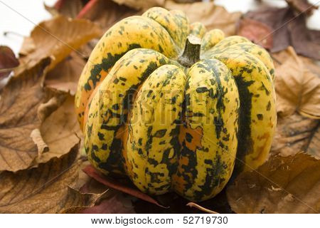 Pumpkin with autumn leaves