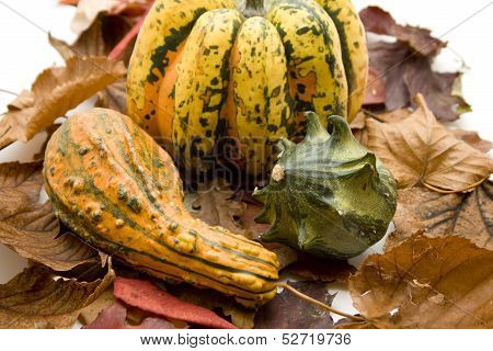 Pumpkin with autumn leaves