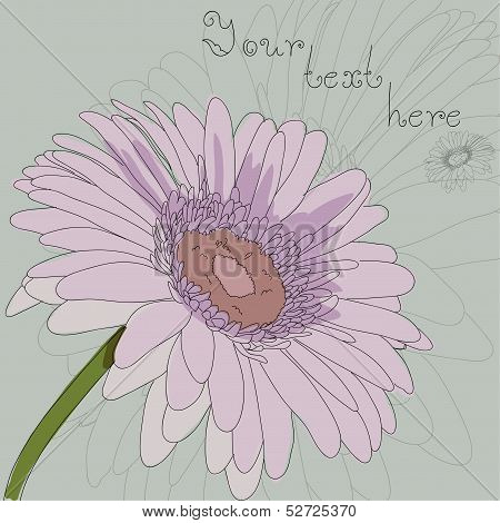 chamomile retro card