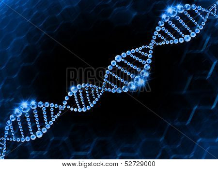 structure of the DNA molecule