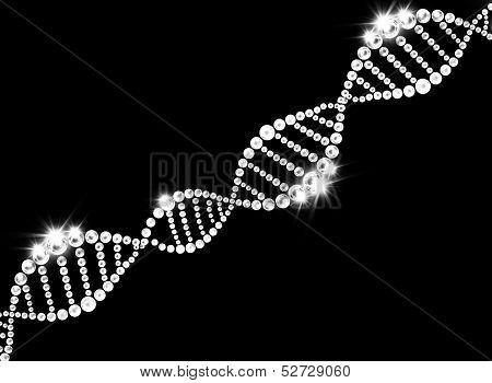 structure of the DNA molecule