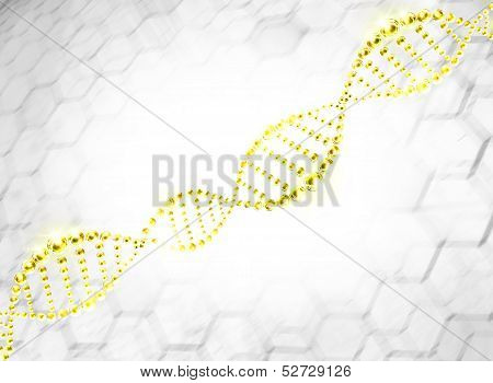 structure of the DNA molecule