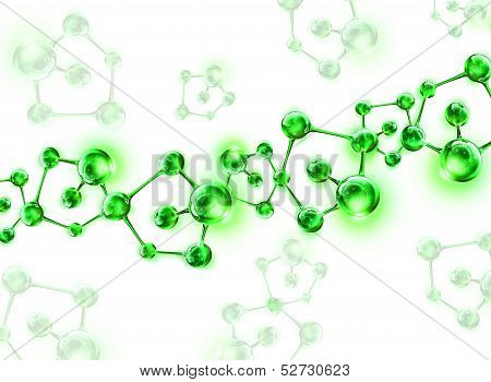 structure of the DNA molecule