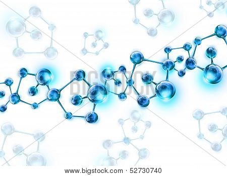 structure of the DNA molecule
