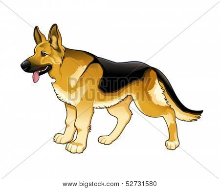 German Shepherd. Vector isolated dog.