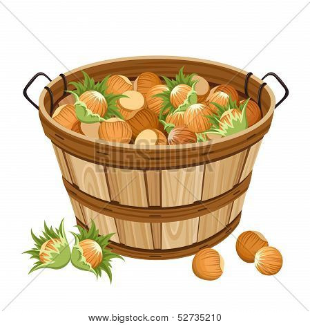 Basket with hazelnuts. Vector illustration.