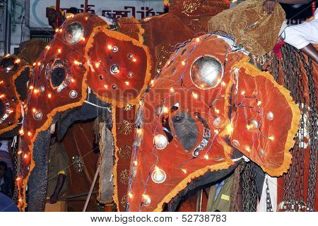 Elephants Participate The Festival Pera Hera In Candy