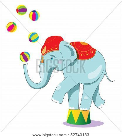 Circus elephant as acrobat