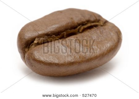 Einzelnen Kaffeebohne