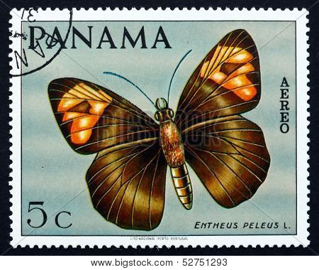 Postage Stamp Panama 1968 Skipper Butterfly