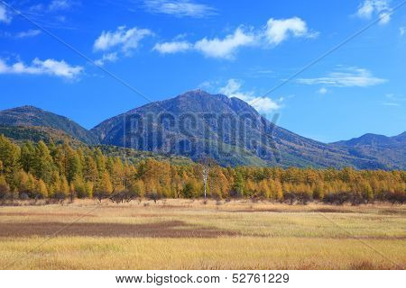 Odashiro Plateau Of Autumn