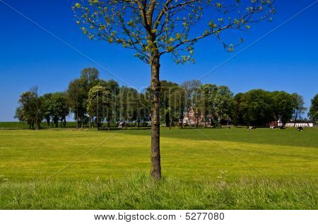Landschap met een boer
