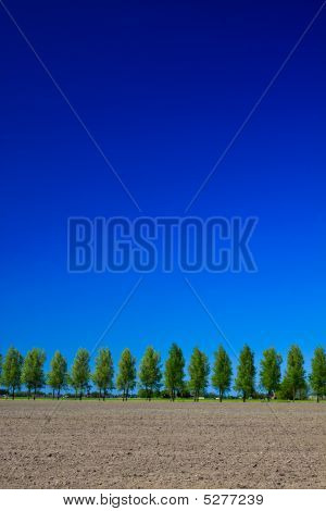 Landschap met bomen, grond en lucht