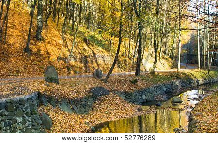 autumn landscape in the forest