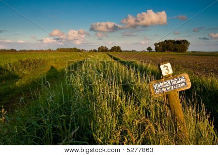 Landschap met weiden