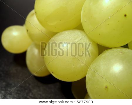 Næroptagelse af druer